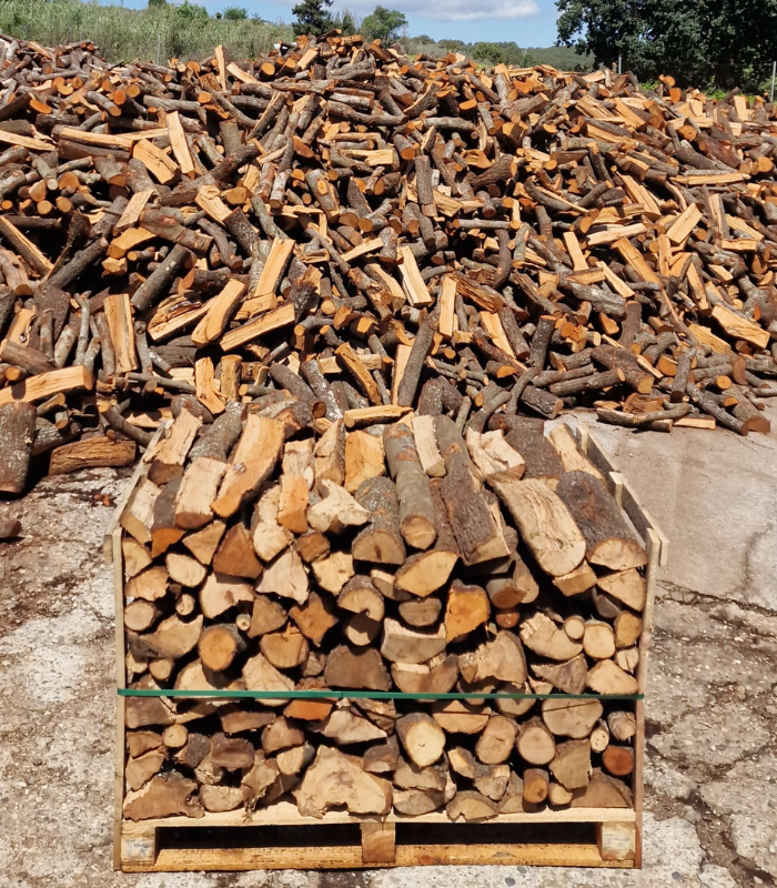 palet-lena-encina-seca-500kg-troncos-40cm1.png palet-lena-encina-seca-500kg-troncos-40cm1.png