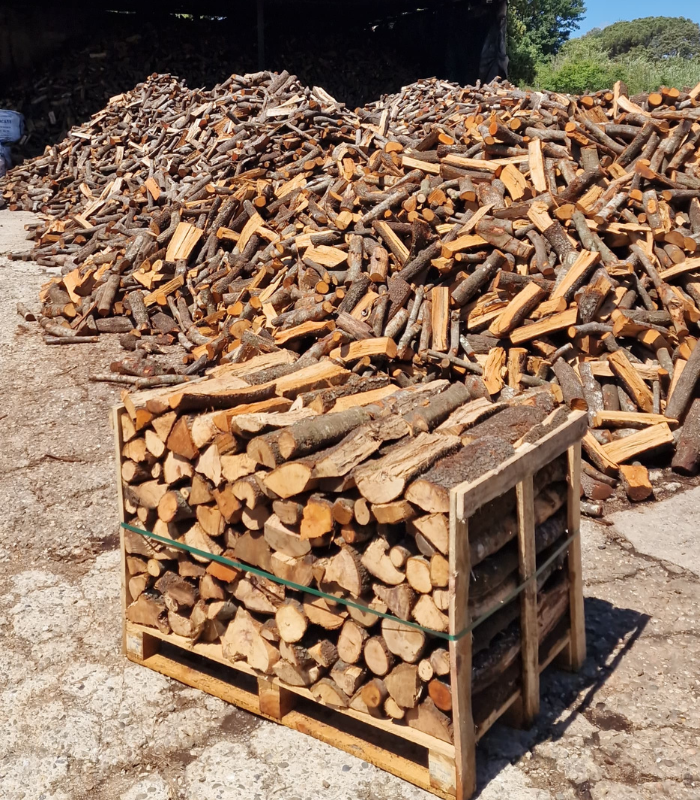 palet-lena-encina-seca-500kg-troncos-40cm2.png palet-lena-encina-seca-500kg-troncos-40cm2.png